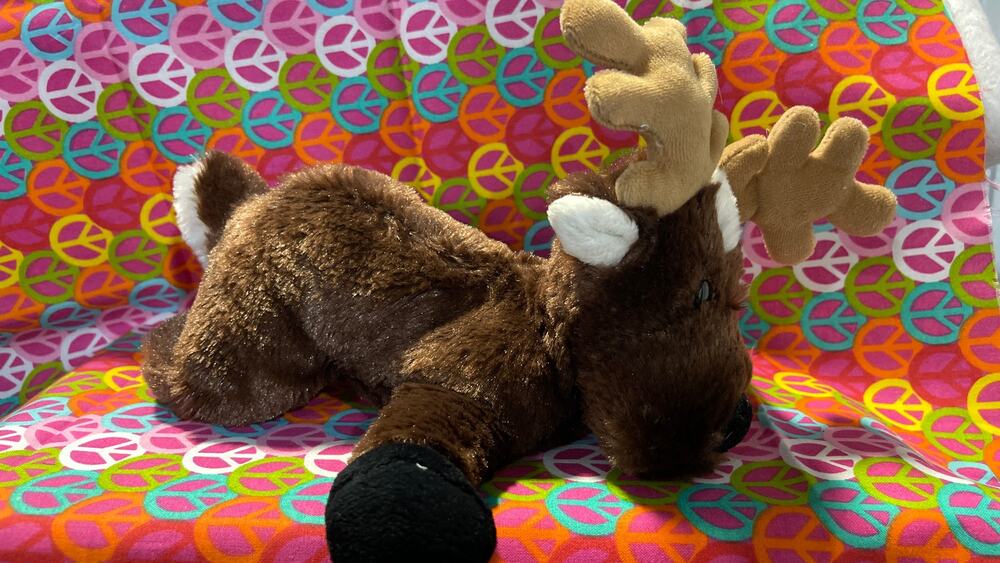 Reindeer 8" HM137 Webkinz Plush No Code by Ganz